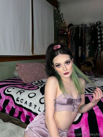 ashleyhxll Nude Leaks OnlyFans Photo 13