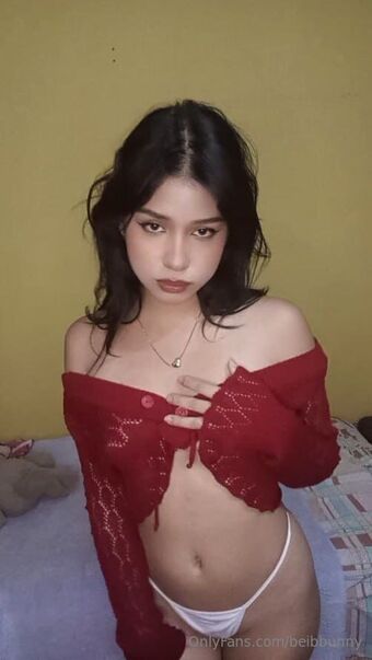 beibbunny Nude Leaks OnlyFans Photo 26