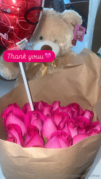 prissyblairefree Nude Leaks OnlyFans Photo 19