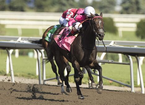 kristenhancher Nude Leaks OnlyFans Photo 9