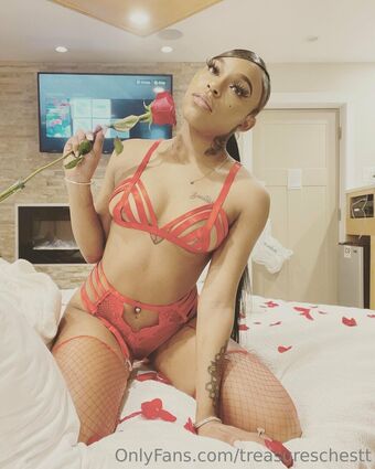 treasureschestt Nude Leaks OnlyFans Photo 2