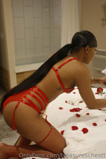 treasureschestt Nude Leaks OnlyFans Photo 4