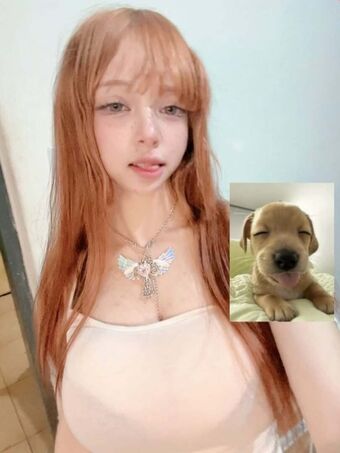 VampiryBatg - Pinguim_insano (Mia Cuscuz) Nude Leaks OnlyFans Photo 14