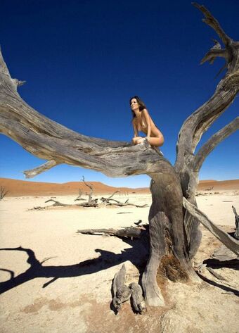 Ann Van Elsen Nude Leaks OnlyFans Photo 10