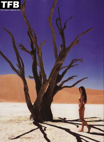 Ann Van Elsen Nude Leaks OnlyFans Photo 18