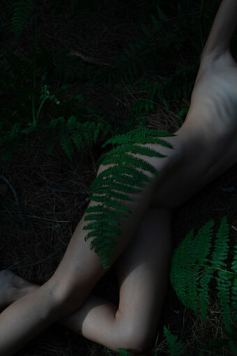 deanralphs Nude Leaks OnlyFans Photo 24