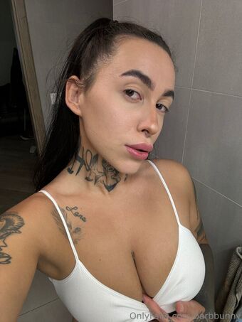Barbbunny Nude Leaks OnlyFans Photo 62