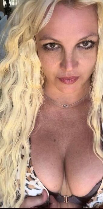 Britney Spears Nude Leaks OnlyFans Photo 235