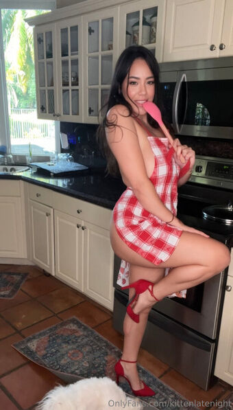 kittenlatenight Nude Leaks OnlyFans Photo 30