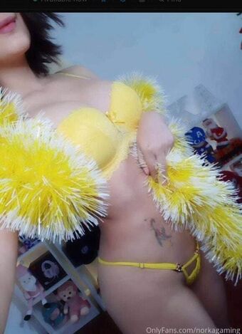 Norkagaming Nude Leaks OnlyFans Photo 10