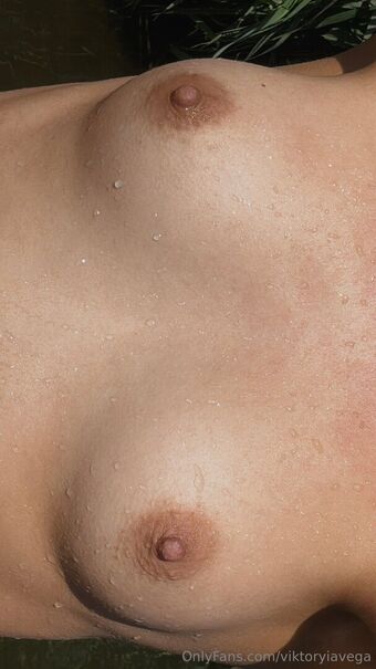 viktoryiavega Nude Leaks OnlyFans Photo 9