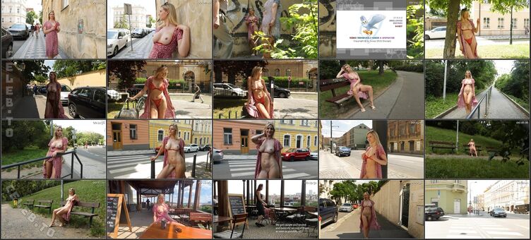 Bralessforever Nude Leaks OnlyFans Photo 5