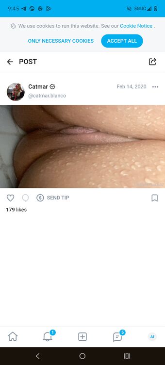 Cataleya Luna Nude Leaks OnlyFans Photo 1