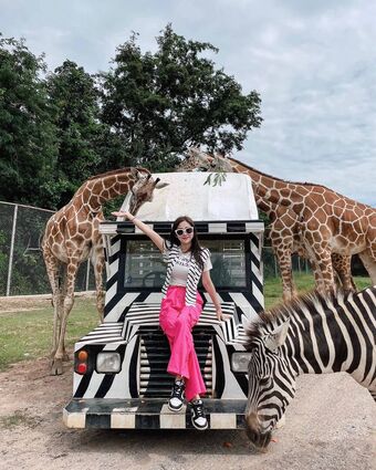 feifeihsieh Nude Leaks OnlyFans Photo 16