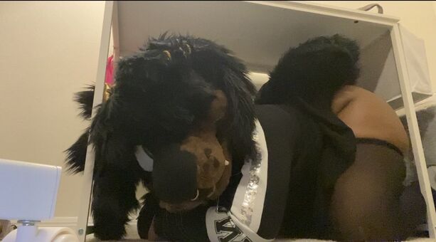 Mastiff_runaway Nude Leaks OnlyFans Photo 3