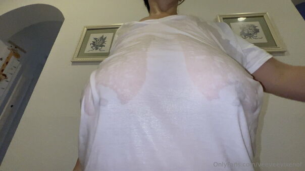 veeveevixenof Nude Leaks OnlyFans Photo 48