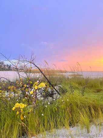 flaminghoe123 Nude Leaks OnlyFans Photo 50